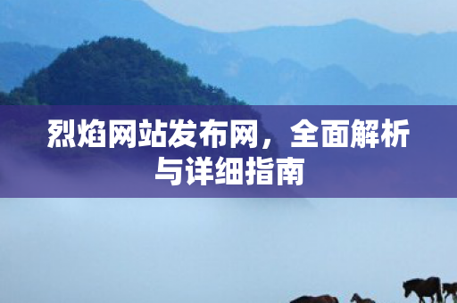 烈焰网站发布网，全面解析与详细指南