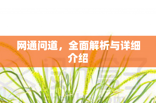 网通问道，全面解析与详细介绍