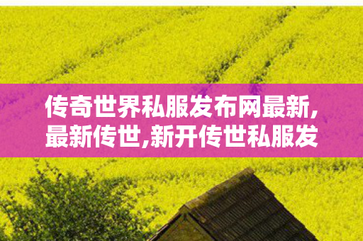 传奇世界私服发布网最新,最新传世,新开传世私服发布网,最新传世