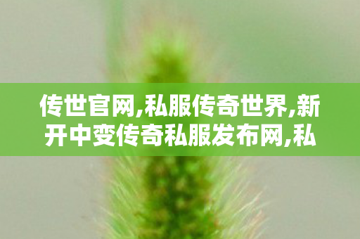 传世官网,私服传奇世界,新开中变传奇私服发布网,私服传奇世界