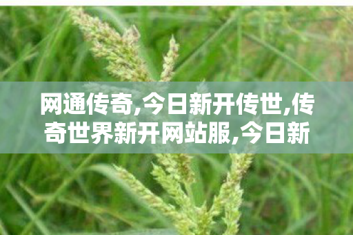 网通传奇,今日新开传世,传奇世界新开网站服,今日新开传世