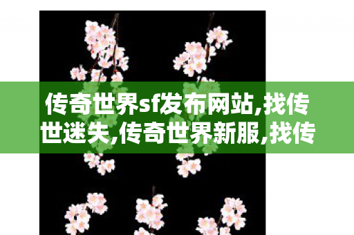 传奇世界sf发布网站,找传世迷失,传奇世界新服,找传世迷失