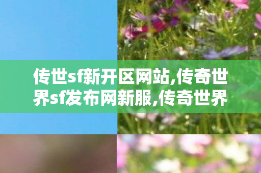 传世sf新开区网站,传奇世界sf发布网新服,传奇世界,传奇世界sf发布网新服