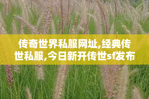 传奇世界私服网址,经典传世私服,今日新开传世sf发布网,经典传世私服