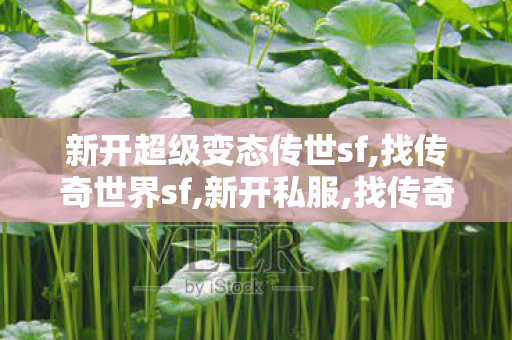 新开超级变态传世sf,找传奇世界sf,新开私服,找传奇世界sf