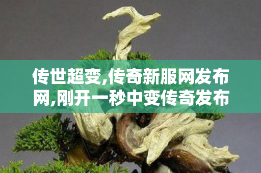 传世超变,传奇新服网发布网,刚开一秒中变传奇发布网,传奇新服网发布网