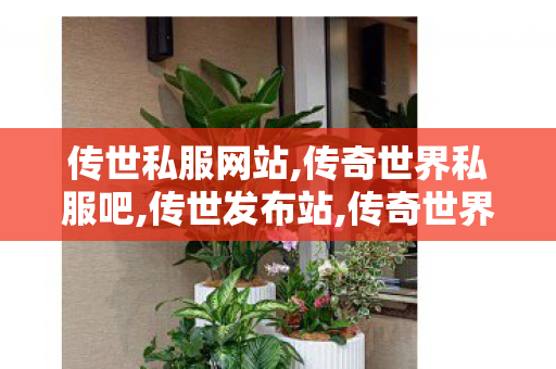 传世私服网站,传奇世界私服吧,传世发布站,传奇世界私服吧