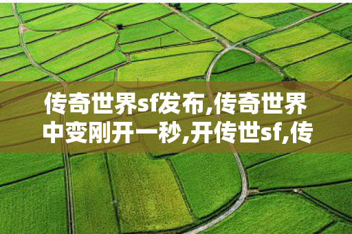 传奇世界sf发布,传奇世界中变刚开一秒,开传世sf,传奇世界中变刚开一秒