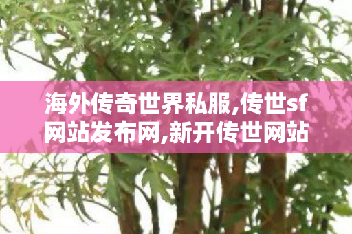 海外传奇世界私服,传世sf网站发布网,新开传世网站发布网,传世sf网站发布网