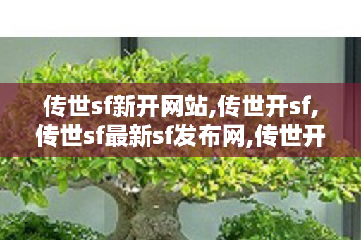 传世sf新开网站,传世开sf,传世sf最新sf发布网,传世开sf