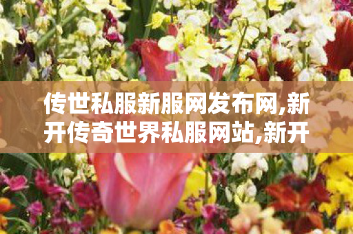 传世私服新服网发布网,新开传奇世界私服网站,新开传奇世界网站发布网,新开传奇世界私服网站