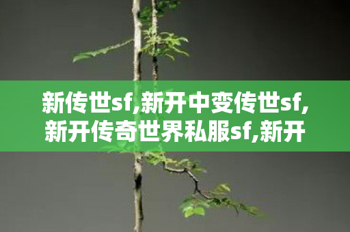 新传世sf,新开中变传世sf,新开传奇世界私服sf,新开中变传世sf