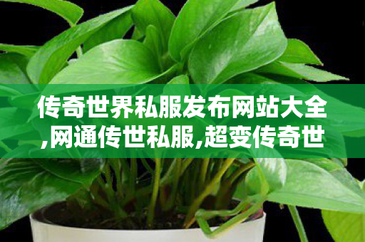 传奇世界私服发布网站大全,网通传世私服,超变传奇世界sf,网通传世私服
