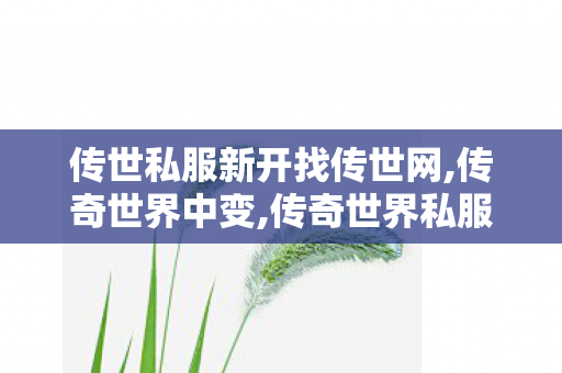 传世私服新开找传世网,传奇世界中变,传奇世界私服,传世私服新开,传奇世界中变
