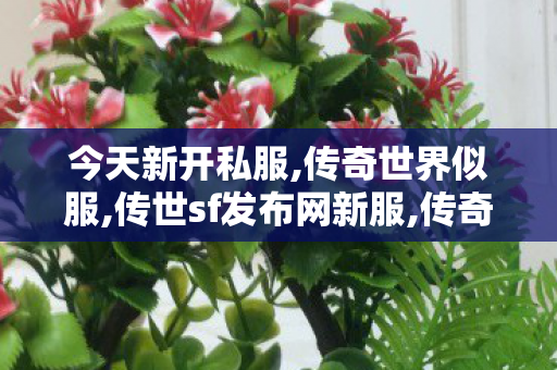 今天新开私服,传奇世界似服,传世sf发布网新服,传奇世界似服