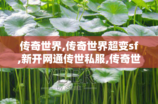 传奇世界,传奇世界超变sf,新开网通传世私服,传奇世界超变sf