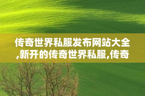 传奇世界私服发布网站大全,新开的传奇世界私服,传奇世界复古无元神,新开的传奇世界私服