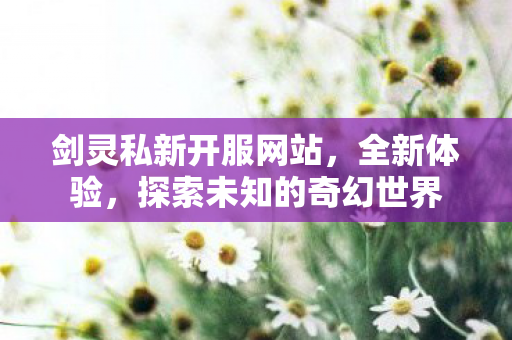 剑灵私新开服网站，全新体验，探索未知的奇幻世界