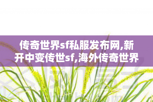 传奇世界sf私服发布网,新开中变传世sf,海外传奇世界私服,新开中变传世sf