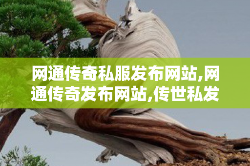 网通传奇私服发布网站,网通传奇发布网站,传世私发服网sf,网通传奇发布网站