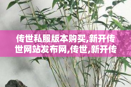 传世私服版本购买,新开传世网站发布网,传世,新开传世网站发布网