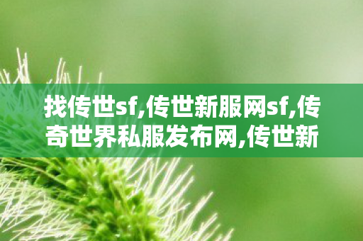 找传世sf,传世新服网sf,传奇世界私服发布网,传世新服网sf