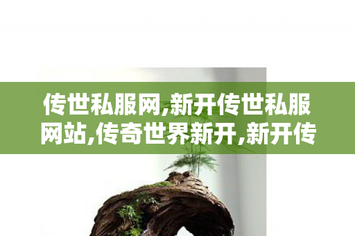 传世私服网,新开传世私服网站,传奇世界新开,新开传世私服网站