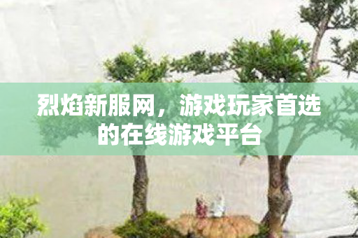 烈焰新服网，游戏玩家首选的在线游戏平台