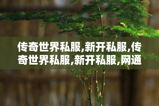 传奇世界私服,新开私服,传奇世界私服,新开私服,网通传奇发布网站,传奇世界私服,新开私服