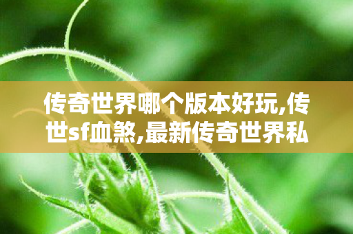 传奇世界哪个版本好玩,传世sf血煞,最新传奇世界私服,传世sf血煞