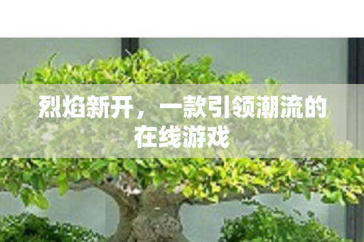 烈焰新开，一款引领潮流的在线游戏