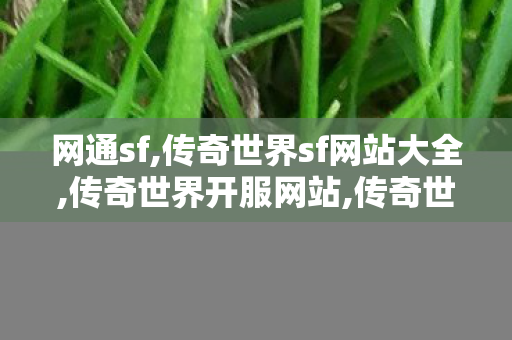 网通sf,传奇世界sf网站大全,传奇世界开服网站,传奇世界sf网站大全