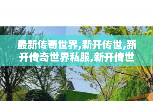 最新传奇世界,新开传世,新开传奇世界私服,新开传世