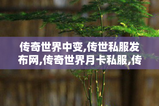 传奇世界中变,传世私服发布网,传奇世界月卡私服,传世私服发布网