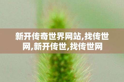 新开传奇世界网站,找传世网,新开传世,找传世网