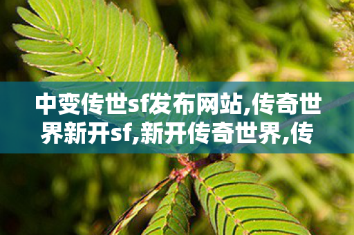 中变传世sf发布网站,传奇世界新开sf,新开传奇世界,传奇世界新开sf
