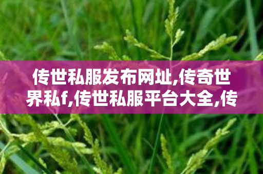 传世私服发布网址,传奇世界私f,传世私服平台大全,传奇世界私f