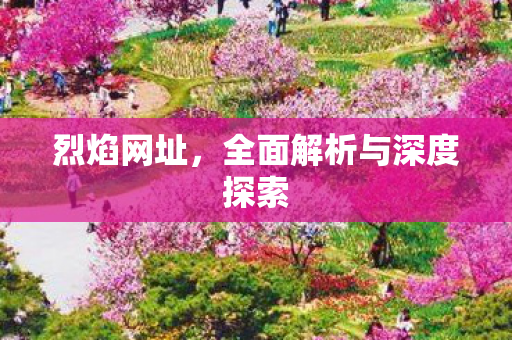 烈焰网址，全面解析与深度探索