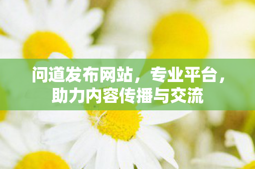 问道发布网站，专业平台，助力内容传播与交流