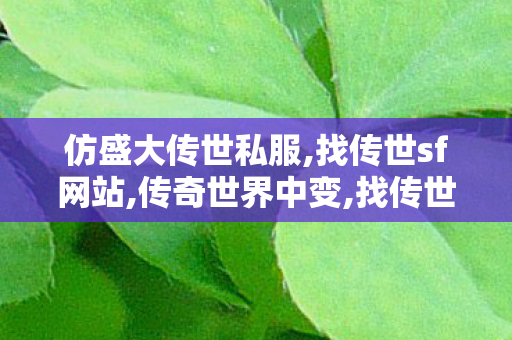 仿盛大传世私服,找传世sf网站,传奇世界中变,找传世sf网站