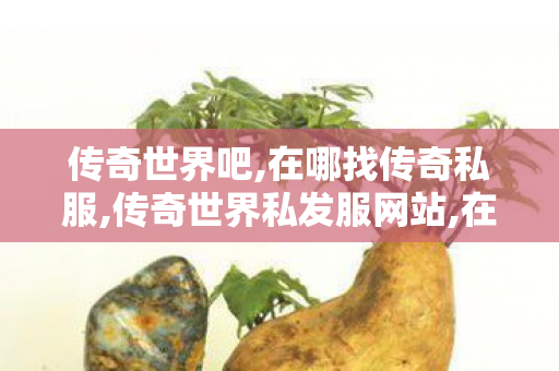 传奇世界吧,在哪找传奇私服,传奇世界私发服网站,在哪找传奇私服
