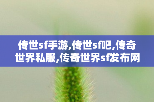 传世sf手游,传世sf吧,传奇世界私服,传奇世界sf发布网,传世sf吧