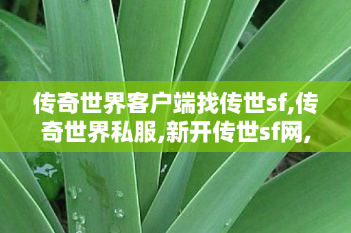 传奇世界客户端	找传世sf,传奇世界私服,新开传世sf网,变态传奇私发服网sf,传奇世界私服,新开传世sf网