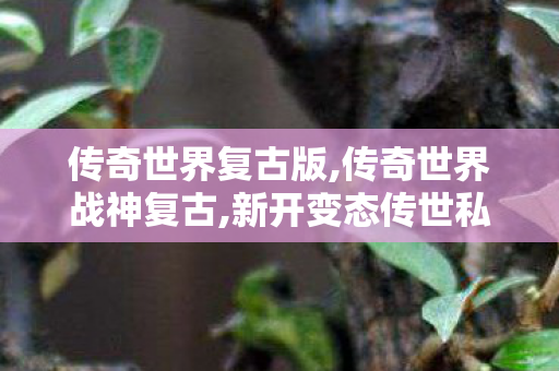 传奇世界复古版,传奇世界战神复古,新开变态传世私服网,传奇世界战神复古