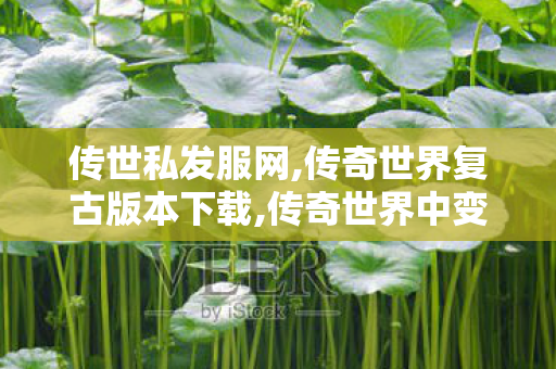传世私发服网,传奇世界复古版本下载,传奇世界中变sf发布,传奇世界复古版本下载
