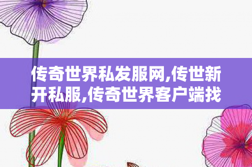 传奇世界私发服网,传世新开私服,传奇世界客户端	找传世sf,传世新开私服