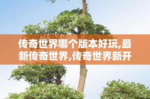 传奇世界哪个版本好玩,最新传奇世界,传奇世界新开私服,最新传奇世界