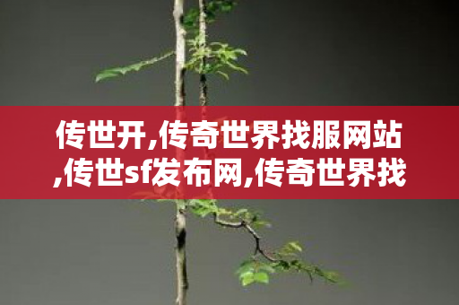 传世开,传奇世界找服网站,传世sf发布网,传奇世界找服网站