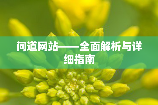 问道网站——全面解析与详细指南