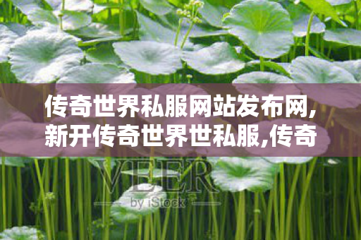 传奇世界私服网站发布网,新开传奇世界世私服,传奇新服网,新开传奇世界世私服